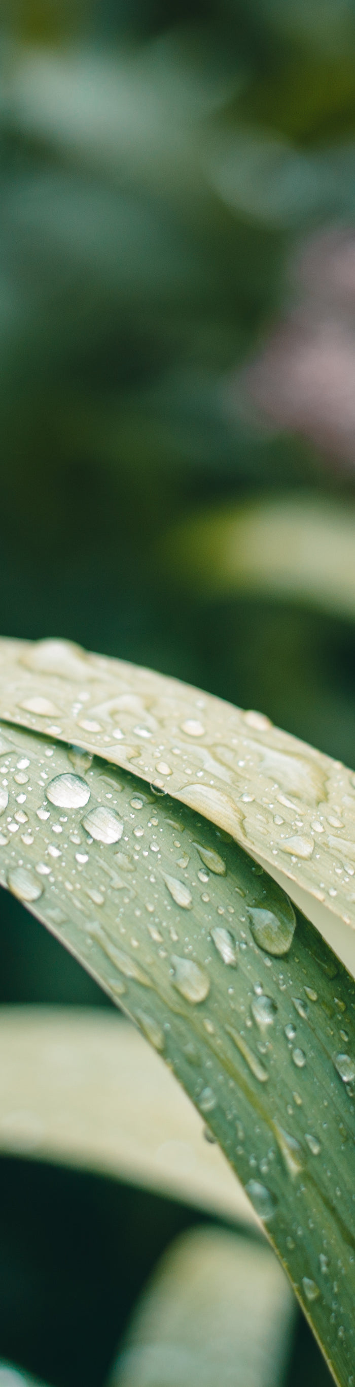 <h1>Hi there. How can we help you?</h1>